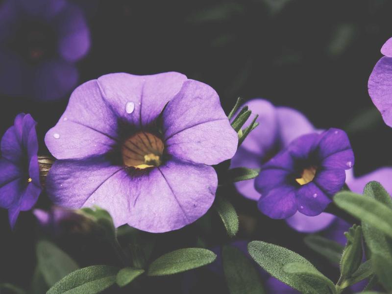 android screenshot 6